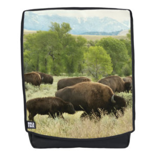 Wyoming Bison Nature Animal Fotografy Rucksack