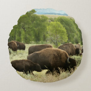 Wyoming Bison Nature Animal Fotografy Rundes Kissen