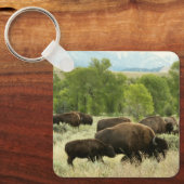 Wyoming Bison Nature Animal Fotografy Schlüsselanhänger (Vorderseite)