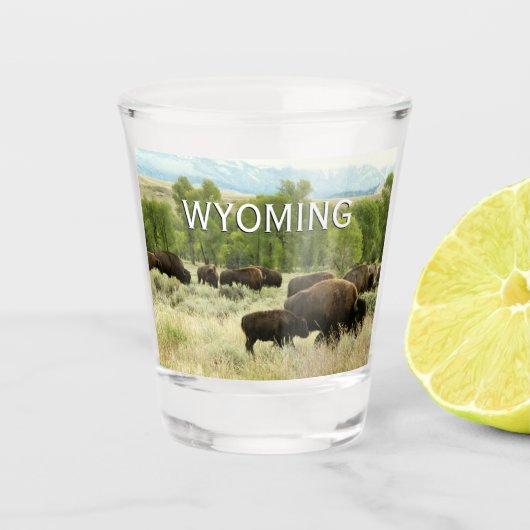 Wyoming Bison Nature Animal Fotografy Schnapsglas (Vorderseite)