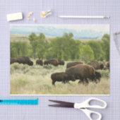 Wyoming Bison Nature Animal Fotografy Seidenpapier (Handwerk)