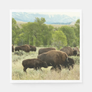 Wyoming Bison Nature Animal Fotografy Serviette