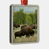 Wyoming Bison Nature Animal Fotografy Silbernes Ornament (Rechts)