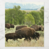 Wyoming Bison Nature Animal Fotografy Weinetikett (Einzelnes Label)