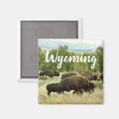 Wyoming Bison Nature Animal Photography Magnet (Vorderseite/Rückseite)