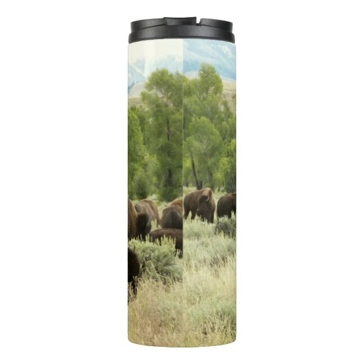 Wyoming Bison Nature Animal Photography Thermosbecher (Rückseite)
