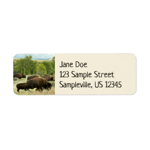 Wyoming Bisons