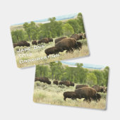 Wyoming Bisons Ausweis (Vorder- & Rückseite)