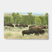 Wyoming Bisons Ausweis (Rückseite)