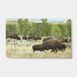 Wyoming Bisons Ausweis