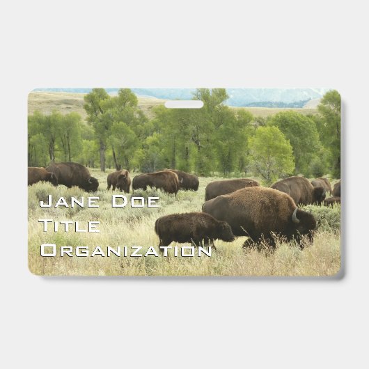 Wyoming Bisons Ausweis (Vorderseite)