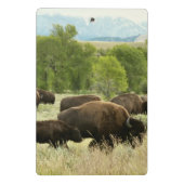 Wyoming-Bisons Mini Klemmbrett (Rückseite)