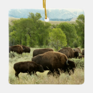 Wyoming Bisons Natur Tierfotografie Keramikornament