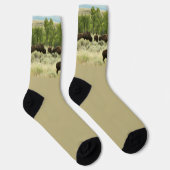 Wyoming-Bisons Socken (Rechts)
