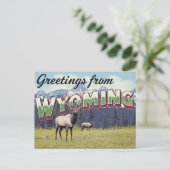 Wyoming Elk Grand Teton Mountains Postkarte (Stehend Vorderseite)