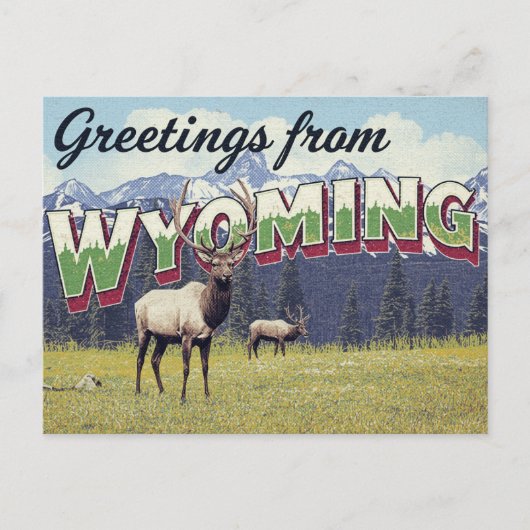 Wyoming Elk Grand Teton Mountains Postkarte (Vorderseite)