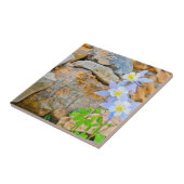 Wyoming, Grand Teton Nationalpark 1 Fliese (Seite)