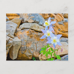 Wyoming, Grand Teton Nationalpark 1 Postkarte