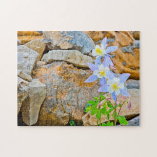 Wyoming, Grand Teton Nationalpark 1 Puzzle