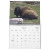 Wyoming-Leben… Kalender (Mär 2027)