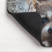 Wyoming, Lincoln Landkreis, Raccoon Mousepad (Ecke)