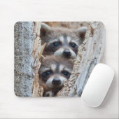 Wyoming, Lincoln Landkreis, Raccoon Mousepad (Mit Mouse)