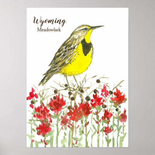 Wyoming Meadowlark Songbird Indian Paintbrush Poster (Vorne)