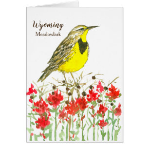 Wyoming Meadowlark Wildblumen Staat Bird