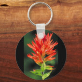 Wyoming Paintbrush Schlüsselanhänger (Vorderseite)