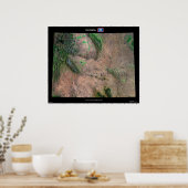 Wyoming Poster (Küche)