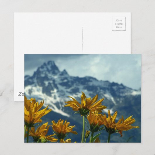 Wyoming Postkarte (Vorne/Hinten)