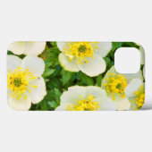 Wyoming, Sublette County, Close-up of a group Case-Mate iPhone Hülle (Rückseite (Horizontal))