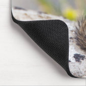 Wyoming, Sublette County, Least Chipmunk Mousepad (Ecke)