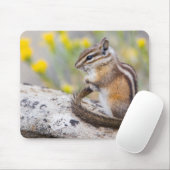 Wyoming, Sublette County, Least Chipmunk Mousepad (Mit Mouse)