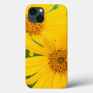 Wyoming, Sublette County, Nahaufnahme von zwei Pfe Case-Mate iPhone Hülle