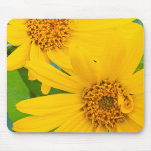 Wyoming, Sublette County, Nahaufnahme von zwei Pfe Mousepad