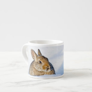 Wyoming, Sublette County, Nuttall-Cottontail Espressotasse