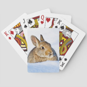 Wyoming, Sublette County, Nuttall-Cottontail Spielkarten