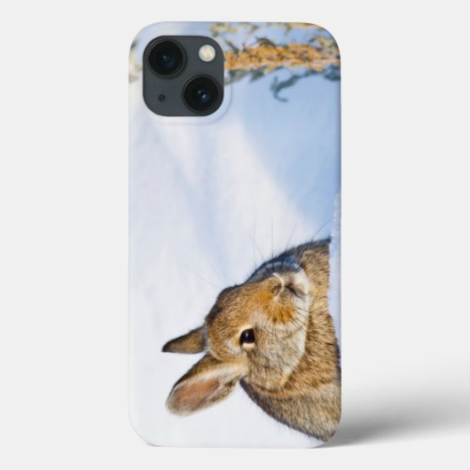 Wyoming, Sublette County, Nuttall's Cottontail 1 Case-Mate iPhone Hülle (Rückseite)