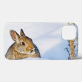 Wyoming, Sublette County, Nuttall's Cottontail 1 Case-Mate iPhone Hülle (Rückseite (Horizontal))