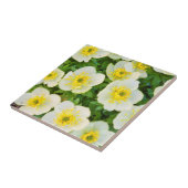 Wyoming, Sublette-Landkreis, Nahe Gruppenbildung Fliese (Seite)