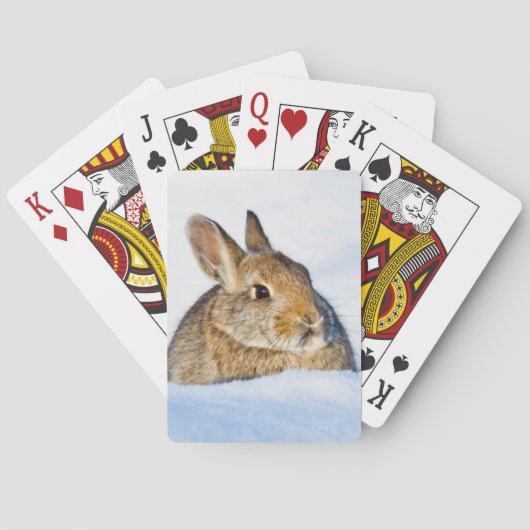 Wyoming, Sublette Landkreis, Nuttall's Cottontail Spielkarten (Rückseite)