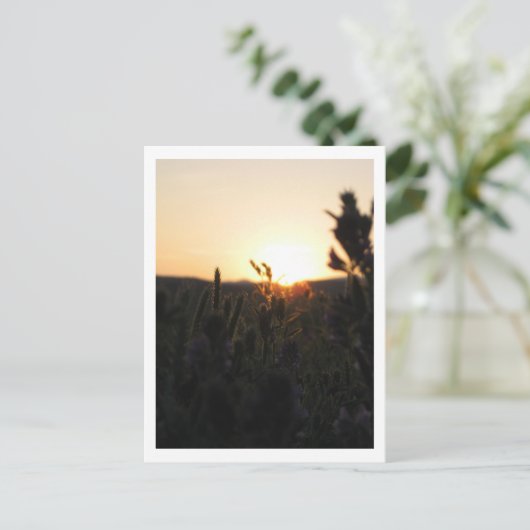 Wyoming Sunrise Postkarte (Stehend Vorderseite)