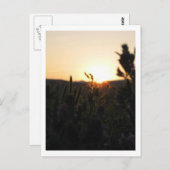 Wyoming Sunrise Postkarte (Vorne/Hinten)