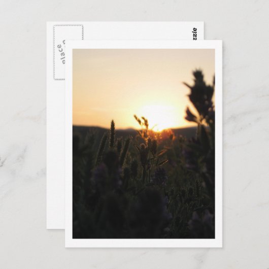 Wyoming Sunrise Postkarte (Vorne/Hinten)