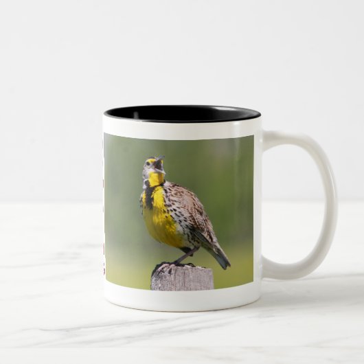 Wyoming Tasse-Meadowlark Zweifarbige Tasse (Rechts)