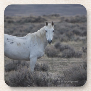 Wyoming, USA Getränkeuntersetzer