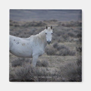 Wyoming, USA Magnet