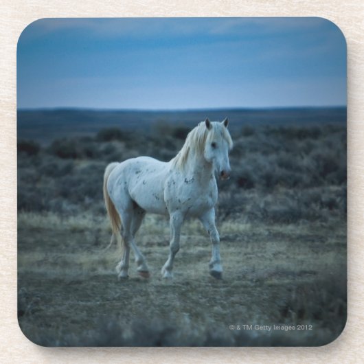 Wyoming, USA Untersetzer (Vorderseite)