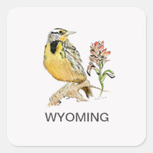 Wyoming-Vogel-Blume
